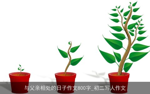 与父亲相处的日子作文800字_初二写人作文