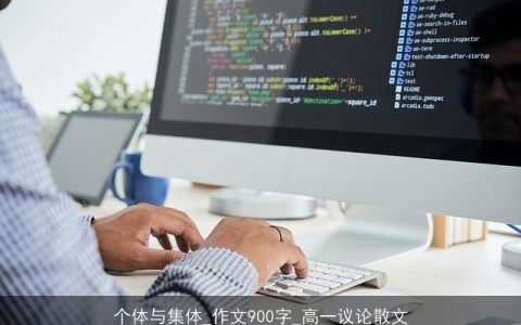 个体与集体_作文900字_高一议论散文