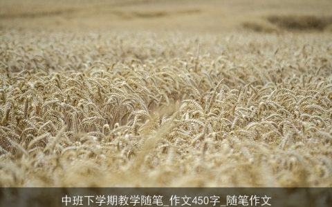 中班下学期教学随笔_作文450字_随笔作文
