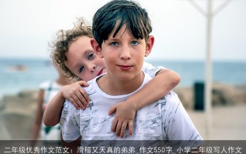 二年级优秀作文范文：滑稽又天真的弟弟_作文550字_小学二年级写人作文