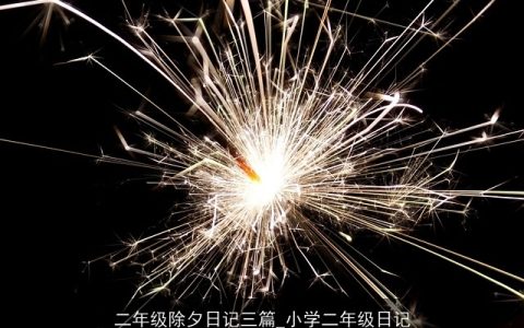二年级除夕日记三篇_小学二年级日记