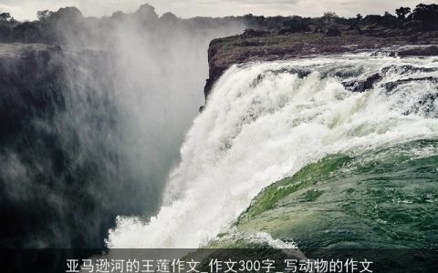 亚马逊河的王莲作文_作文300字_写动物的作文