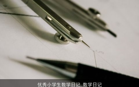 优秀小学生数学日记_数学日记