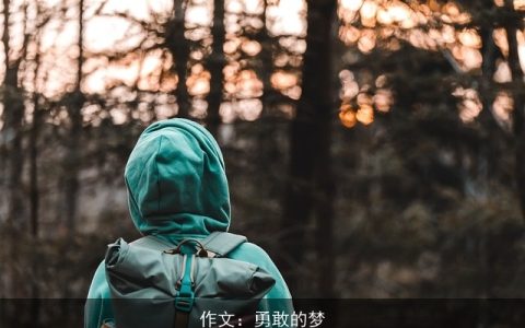 作文：勇敢的梦