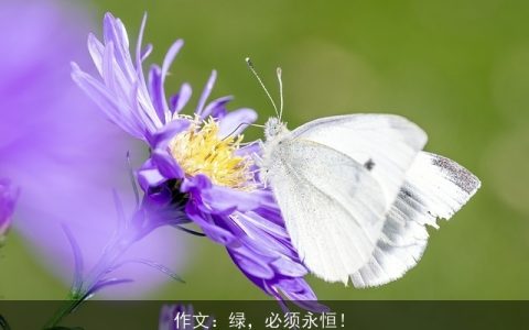 作文：绿，必须永恒！