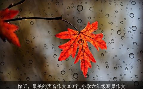你听，最美的声音作文300字_小学六年级写景作文