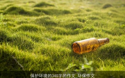 保护环境的340字的作文_环保作文
