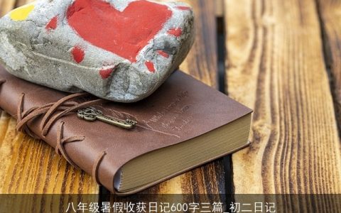 八年级暑假收获日记600字三篇_初二日记