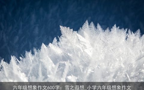 六年级想象作文600字：雪之遐想_小学六年级想象作文