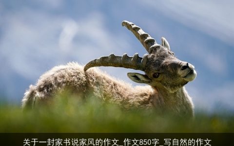 关于一封家书说家风的作文_作文850字_写自然的作文