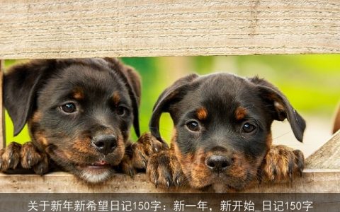 关于新年新希望日记150字：新一年，新开始_日记150字