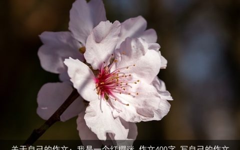 关于自己的作文：我是一个红樱迷_作文400字_写自己的作文