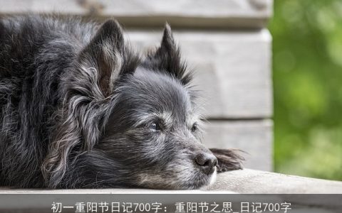 初一重阳节日记700字：重阳节之思_日记700字