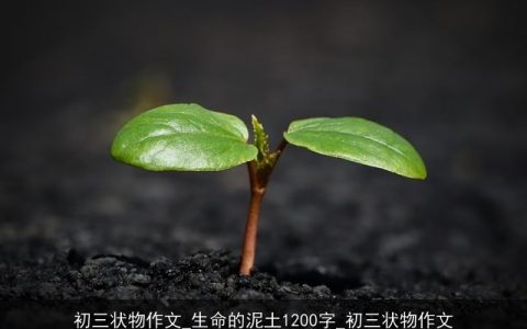 初三状物作文_生命的泥土1200字_初三状物作文