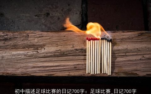 初中描述足球比赛的日记700字：足球比赛_日记700字