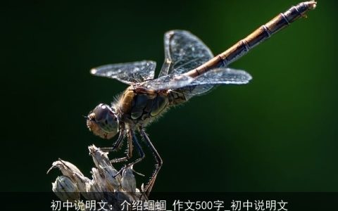 初中说明文：介绍蝈蝈_作文500字_初中说明文
