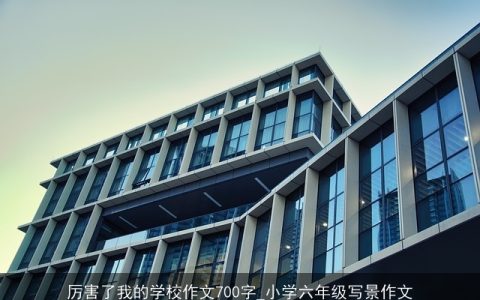 厉害了我的学校作文700字_小学六年级写景作文