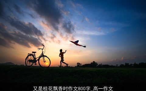 又是桂花飘香时作文800字_高一作文