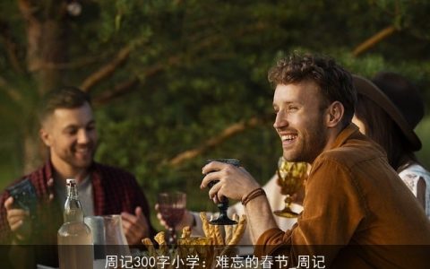 周记300字小学：难忘的春节_周记