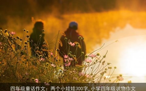 四年级童话作文：两个小娃娃300字_小学四年级状物作文