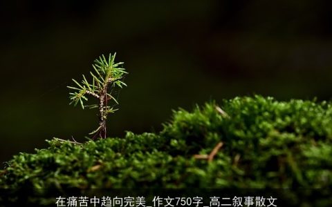 在痛苦中趋向完美_作文750字_高二叙事散文