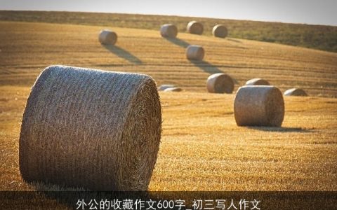 外公的收藏作文600字_初三写人作文