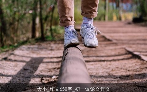 大小_作文650字_初一议论文作文