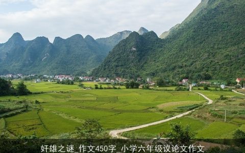 奸雄之谜_作文450字_小学六年级议论文作文