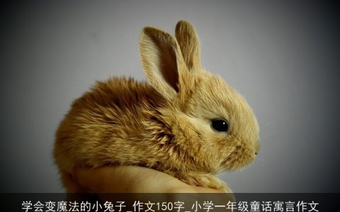 学会变魔法的小兔子_作文150字_小学一年级童话寓言作文