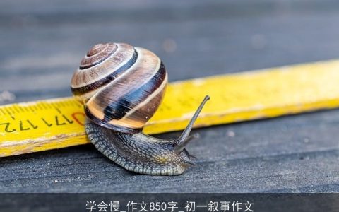 学会慢_作文850字_初一叙事作文