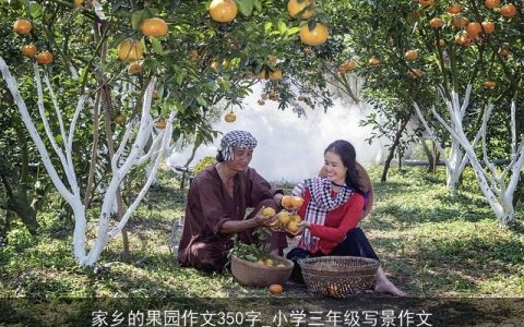 家乡的果园作文350字_小学三年级写景作文