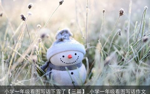 小学一年级看图写话下雪了【三篇】_小学一年级看图写话作文