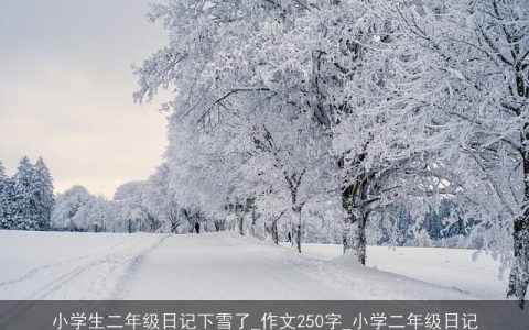 小学生二年级日记下雪了_作文250字_小学二年级日记