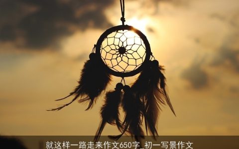 就这样一路走来作文650字_初一写景作文