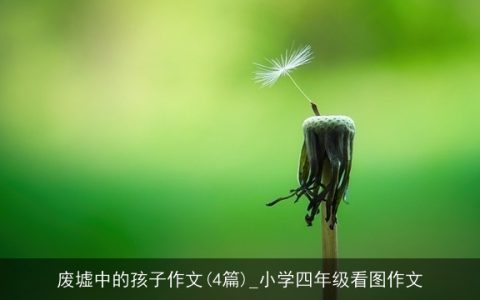 废墟中的孩子作文(4篇)_小学四年级看图作文