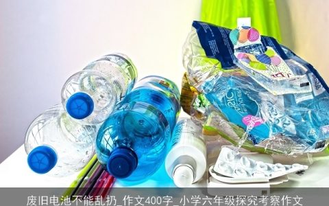 废旧电池不能乱扔_作文400字_小学六年级探究考察作文