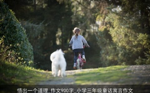 悟出一个道理_作文900字_小学三年级童话寓言作文