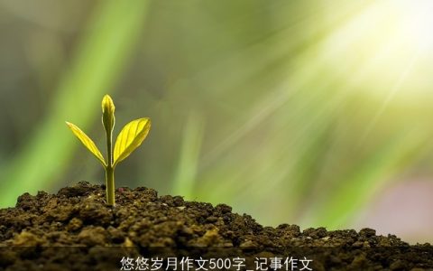 悠悠岁月作文500字_记事作文
