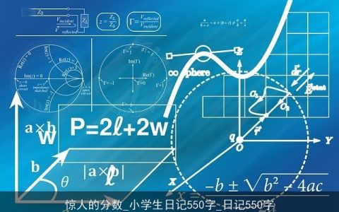 惊人的分数_小学生日记550字_日记550字