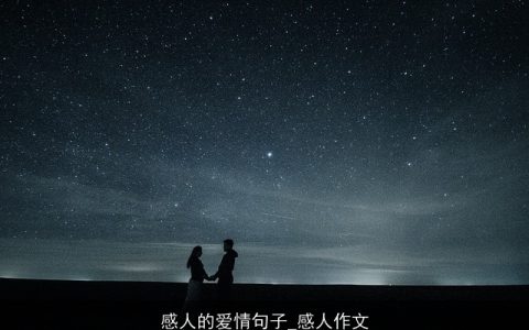 感人的爱情句子_感人作文