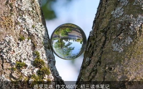 感受灵魂_作文650字_初三读书笔记