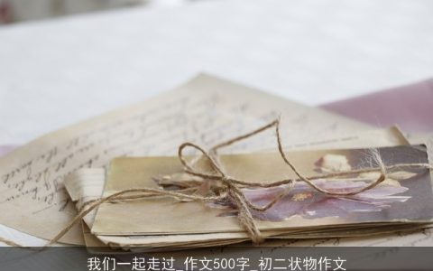 我们一起走过_作文500字_初二状物作文