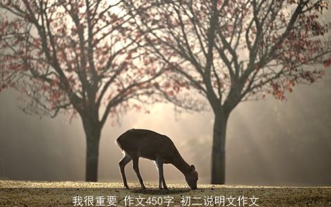 我很重要_作文450字_初二说明文作文