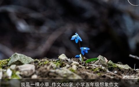 我是一棵小草_作文400字_小学五年级想象作文