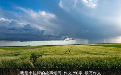 我是小拉姆的故事续写_作文250字_续写作文