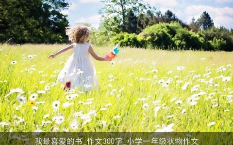 我最喜爱的书_作文300字_小学一年级状物作文