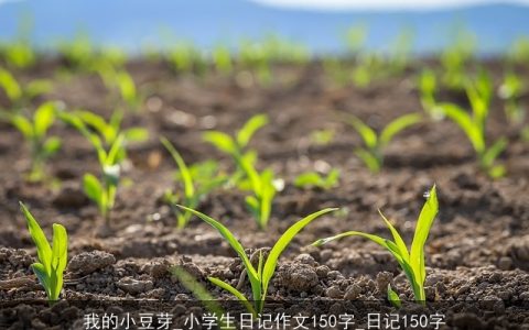 我的小豆芽_小学生日记作文150字_日记150字