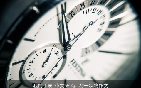 我的手表_作文550字_初一状物作文
