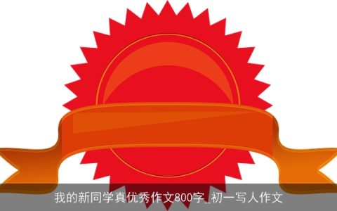 我的新同学真优秀作文800字_初一写人作文