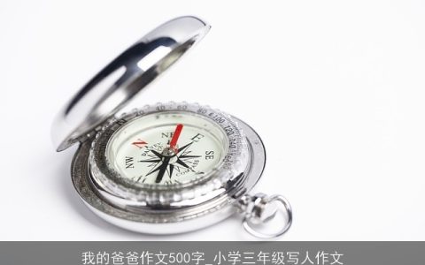 我的爸爸作文500字_小学三年级写人作文